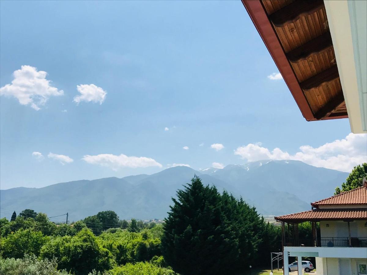 Dimeli 1 Apartman Pláka Litóhoru Kültér fotó